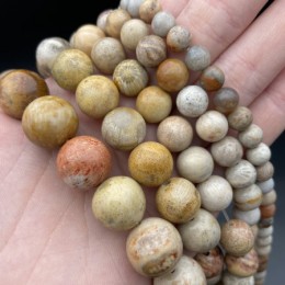 Каменные бусины, Коралл, окаменелый, шарик гладкий, 4 мм, длина нити 38 см