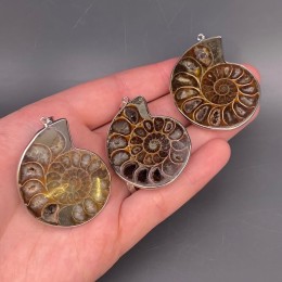 Подвеска, Аммонит, Срез, в оправе, размер 30-40 мм, цена за 1 шт.