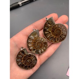 Подвеска, Аммонит, Срез, в оправе, размер 30-40 мм, цена за 1 шт.