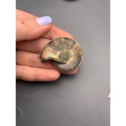 Подвеска, Аммонит, Срез, в оправе, размер 30-40 мм, цена за 1 шт.