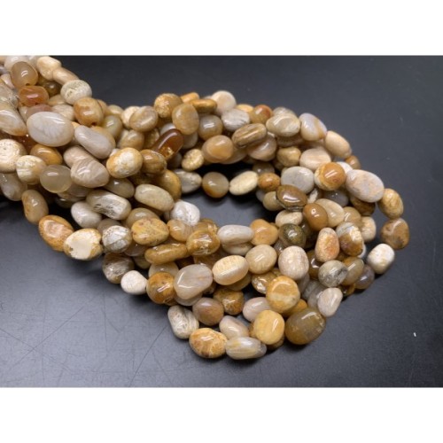 Каменные бусины, Коралл окаменелый, фриформы, 9х6 мм, длина нити 38 см