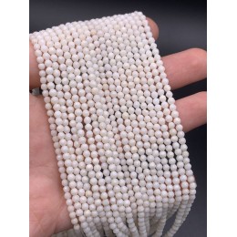 Каменные бусины, Коралл, белый, шарик огранка, 2,8-3 мм, длина нити 38 см